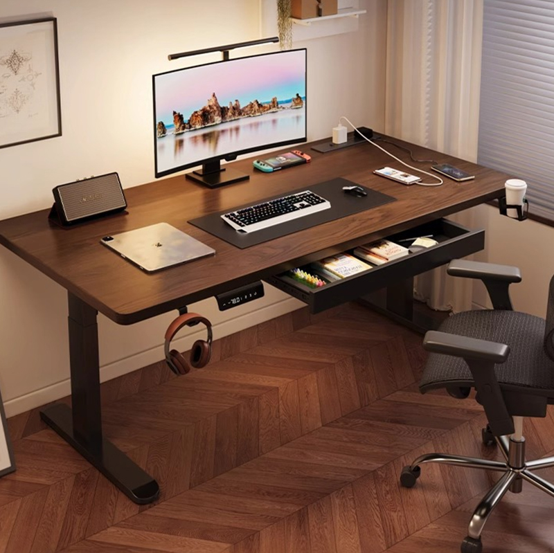 현대식 철제 듀얼 모터 전동 스탠딩 데스크, 높이 조절 - Desk Setup Ergonomics 리뷰 및 가격
