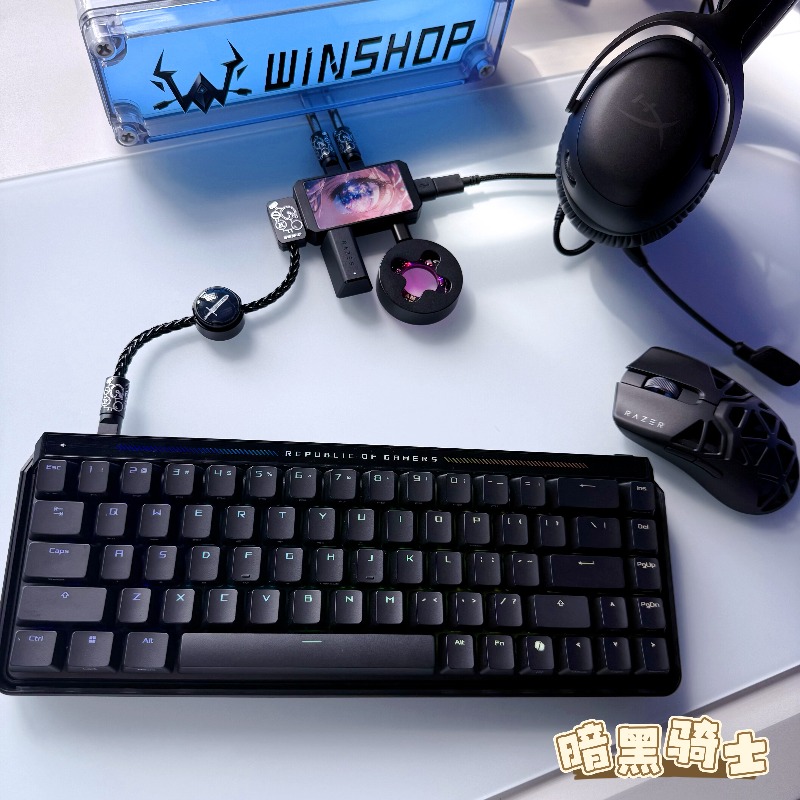 WINSHOP Esports HUB 듀얼 인/아웃 US - Desk Setup Hub 리뷰 및 가격