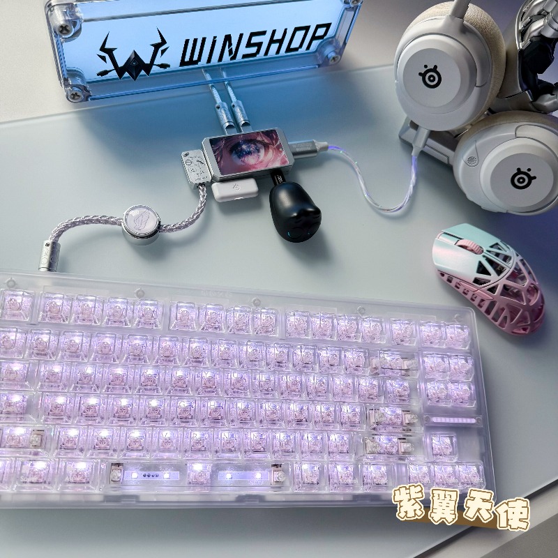WINSHOP Esports HUB 듀얼 인/아웃 US - Desk Setup Hub 리뷰 및 가격