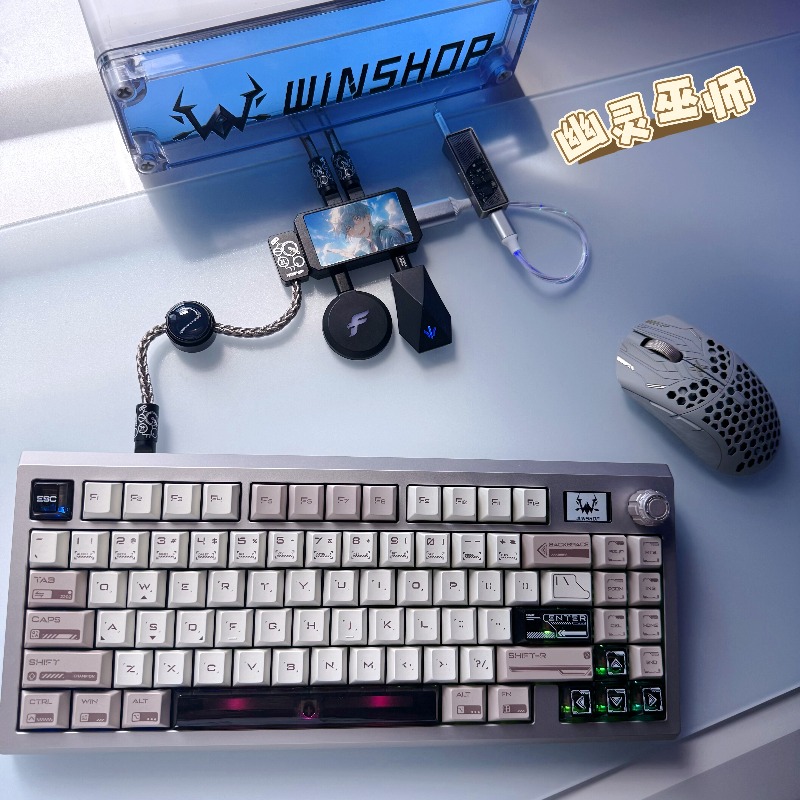 WINSHOP Esports HUB 듀얼 인/아웃 US - Desk Setup Hub 리뷰 및 가격