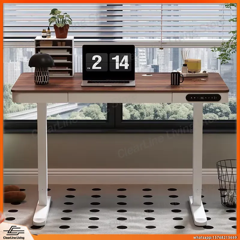 전동 높이 조절 게이밍 책상 (듀얼 모터 리프트 시스템 - Desk Setup Ergonomics 리뷰 및 가격